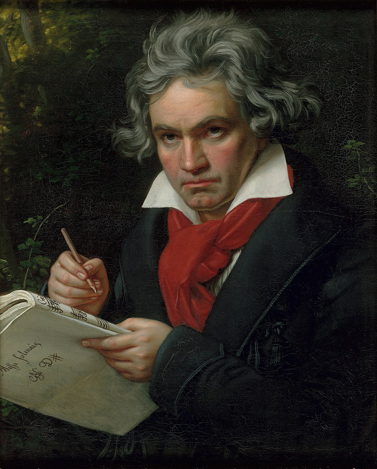 Beethoven | Shane Koyczan | PDF Detailed Analysis for Exam Prep.